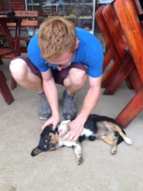 Will finds a dog to play with...